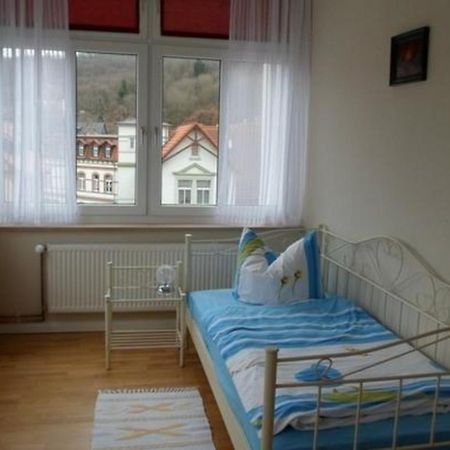 Wohnung In Blankenburg Harz Mit Grill, Garten Und Terrasse エクステリア 写真
